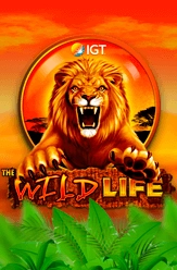 Wild Life Slot Game Free to Play Online - BestSlots